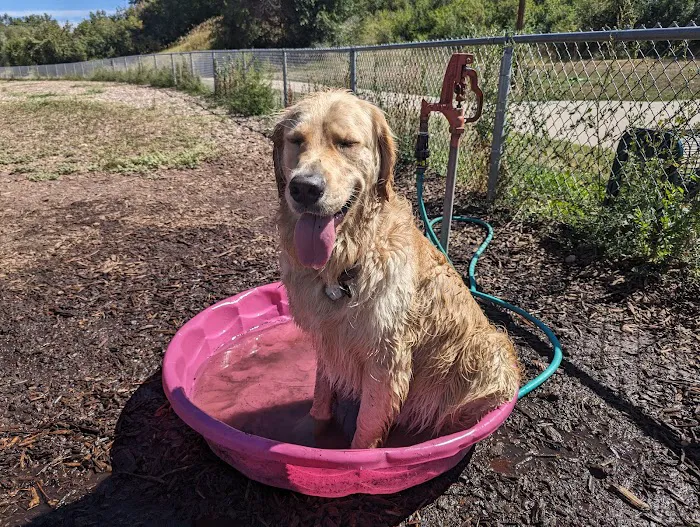 Englewood Canine Corral 7