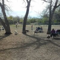 Englewood Canine Corral ico