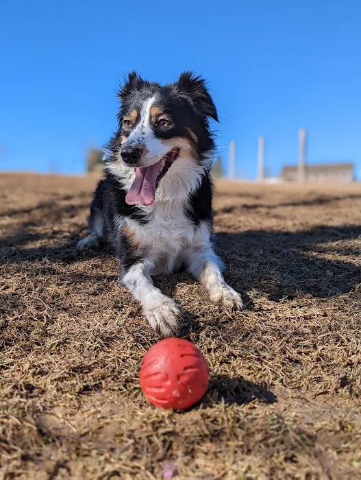 Wynetka Ponds Bark Park 3