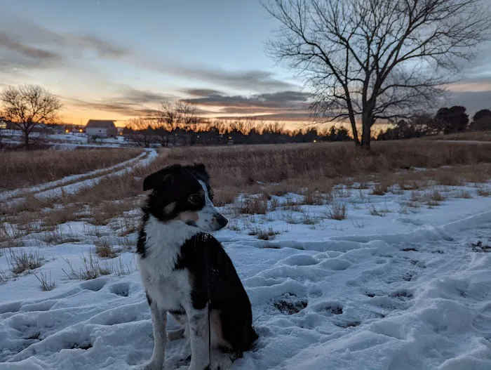 Wynetka Ponds Bark Park 5