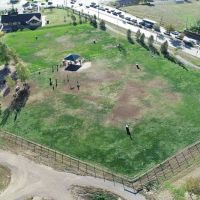 Wynetka Ponds Bark Park ico