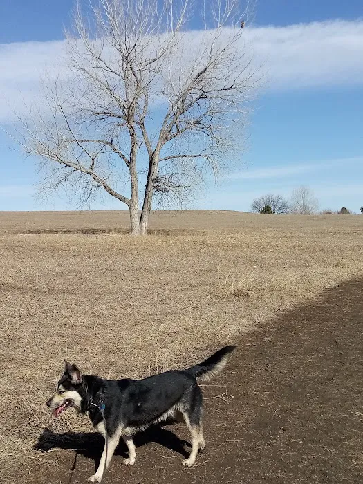 Wynetka Ponds Bark Park 6