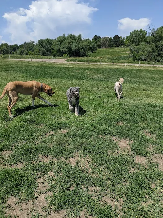 Wynetka Ponds Bark Park 10