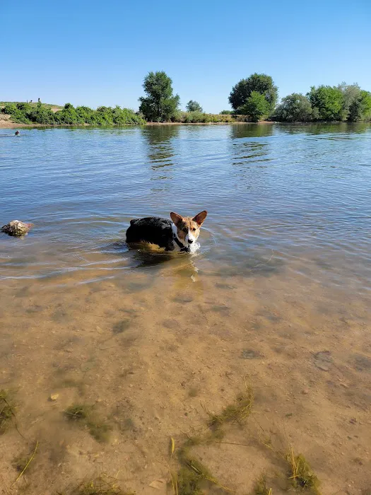 Chatfield Dog Park 2