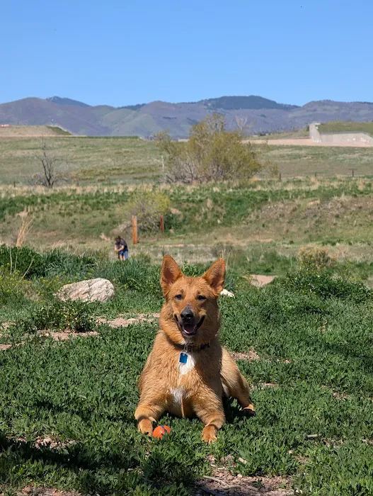 Chatfield Dog Park 3