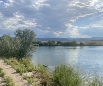 Chatfield Dog Park