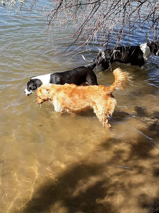 Chatfield Dog Park 6