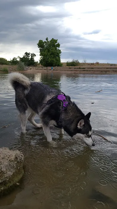 Chatfield Dog Park 5
