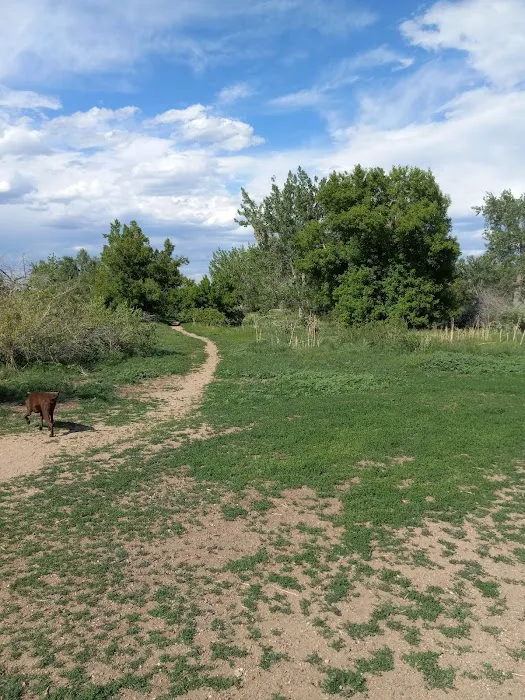 Chatfield Dog Park 10