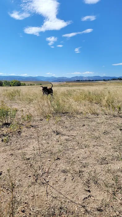 Chatfield Dog Park 4
