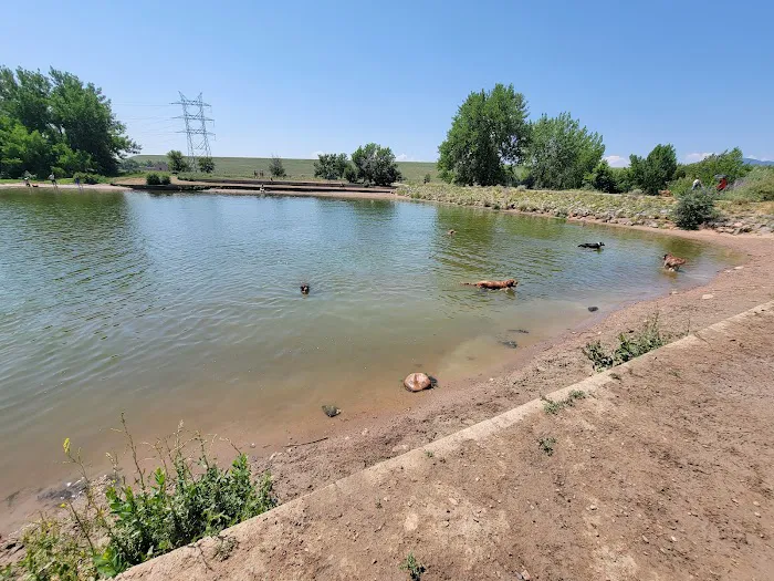 Chatfield Dog Park 9