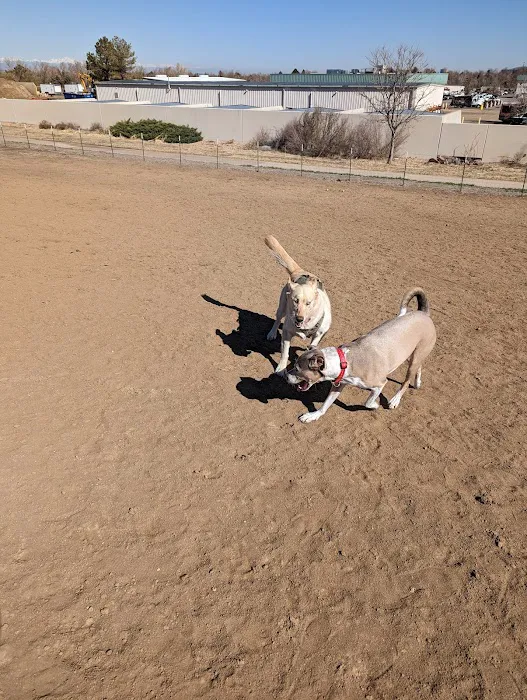 Bicentennial Park Off-Leash Dog Area 5