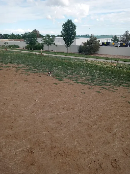 Bicentennial Park Off-Leash Dog Area 2