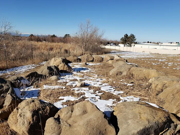 Bicentennial Park Off-Leash Dog Area 4