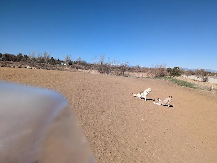 Bicentennial Park Off-Leash Dog Area 1