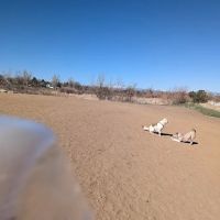 Bicentennial Park Off-Leash Dog Area ico