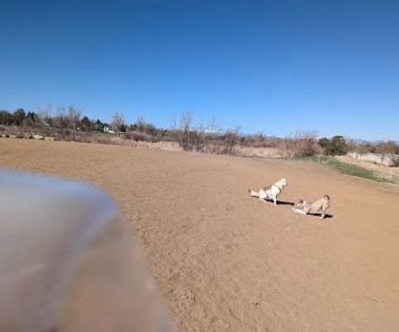 Bicentennial Park Off-Leash Dog Area