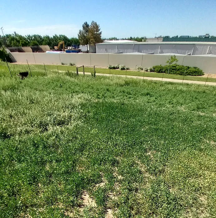 Bicentennial Park Off-Leash Dog Area 8