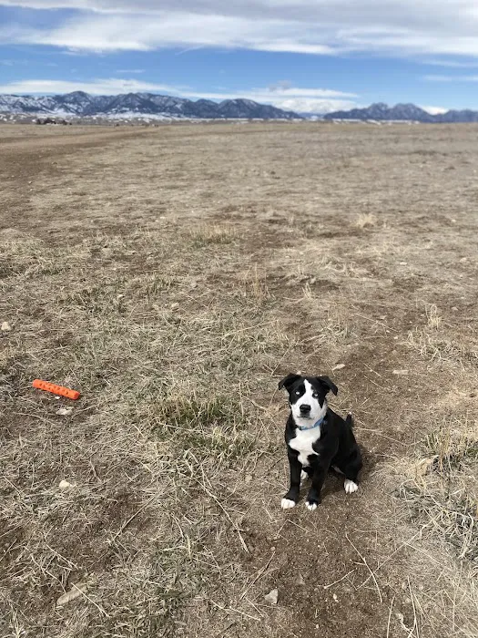 OPEN Space Offleash Dog Area. 6