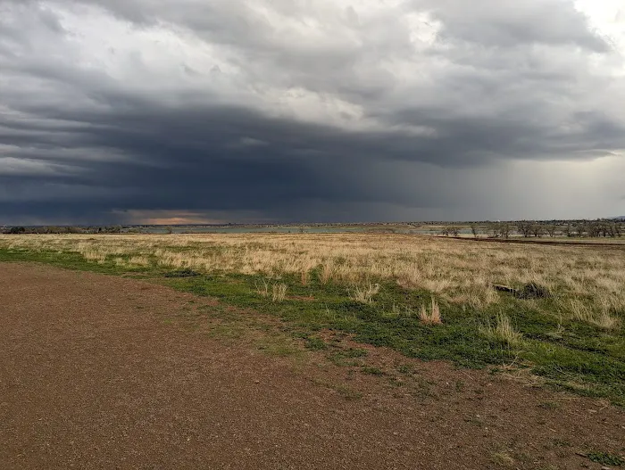 OPEN Space Offleash Dog Area. 3
