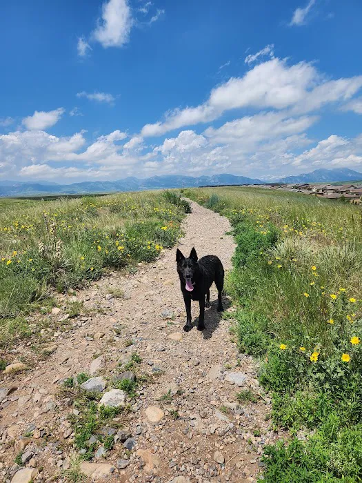 OPEN Space Offleash Dog Area. 2