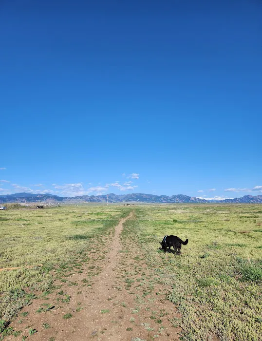 OPEN Space Offleash Dog Area. 1