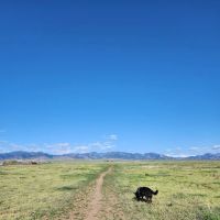 OPEN Space Offleash Dog Area. ico
