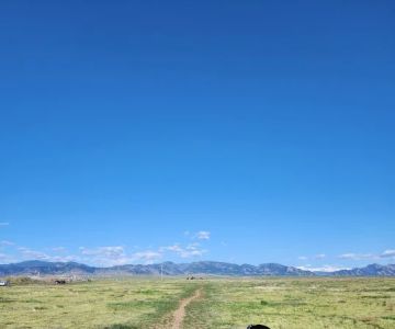 OPEN Space Offleash Dog Area.