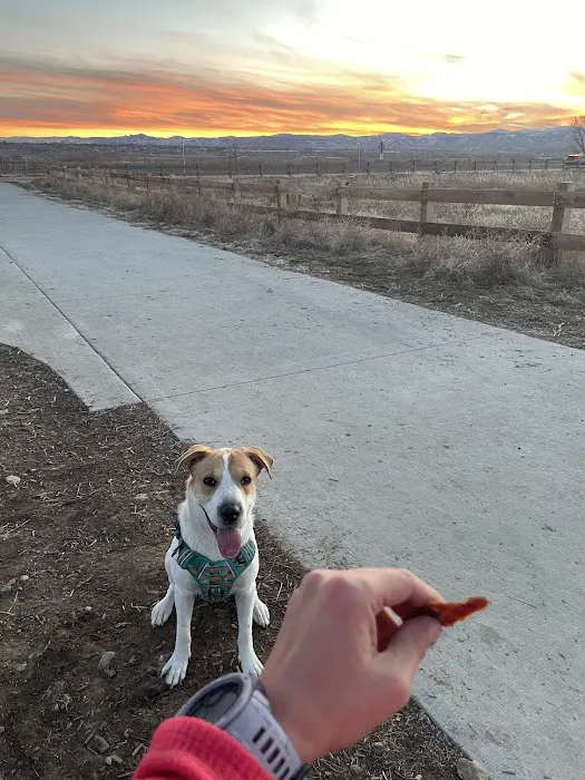 Westminster Hills Open Space Dog Park Parking Lot 8