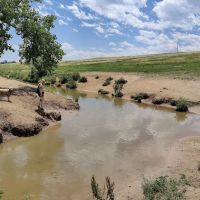 Westminster Hills Open Space Off-Leash Area ico