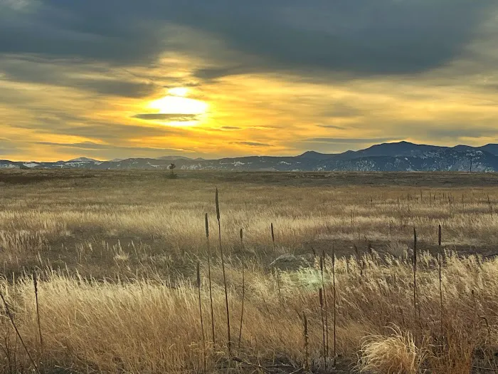 Westminster Hills Open Space Off-Leash Area 7