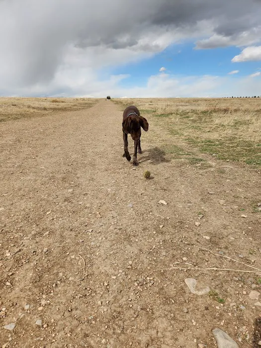 Westminster Hills Open Space Off-Leash Area 10