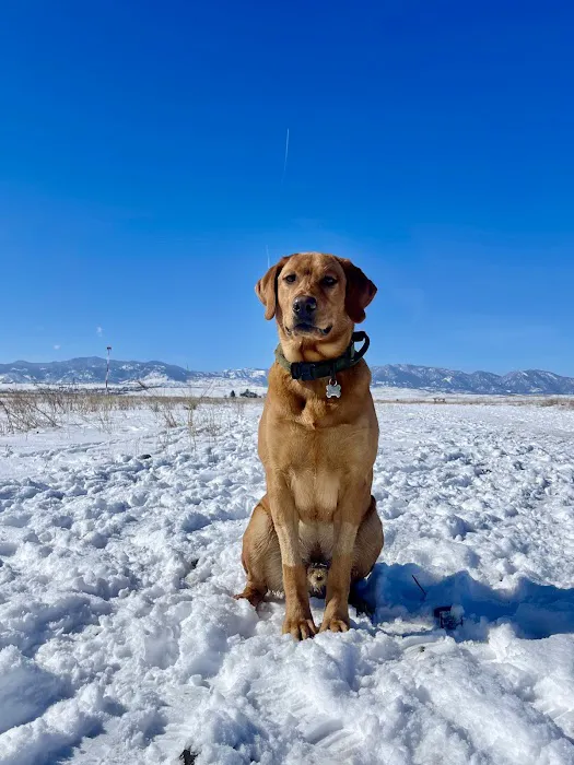 Westminster Hills Open Space Off-Leash Area 9