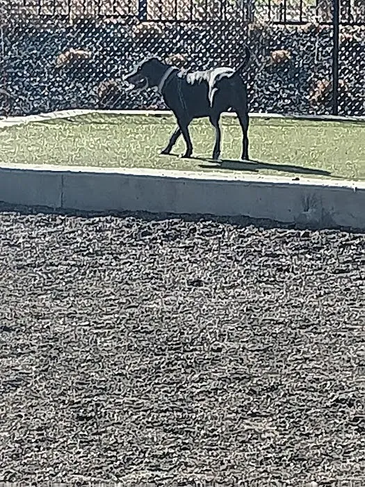 Dog Park Off-Leash Area 6