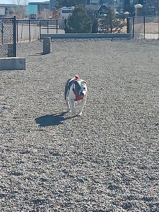 Dog Park Off-Leash Area 3