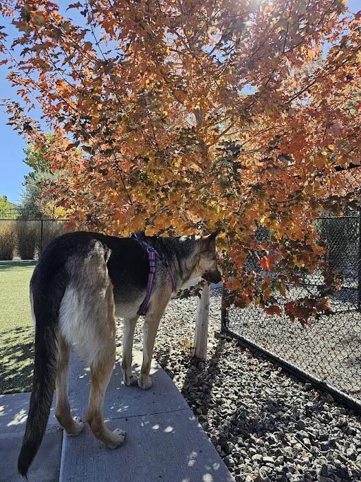 Dog Park Off-Leash Area 10