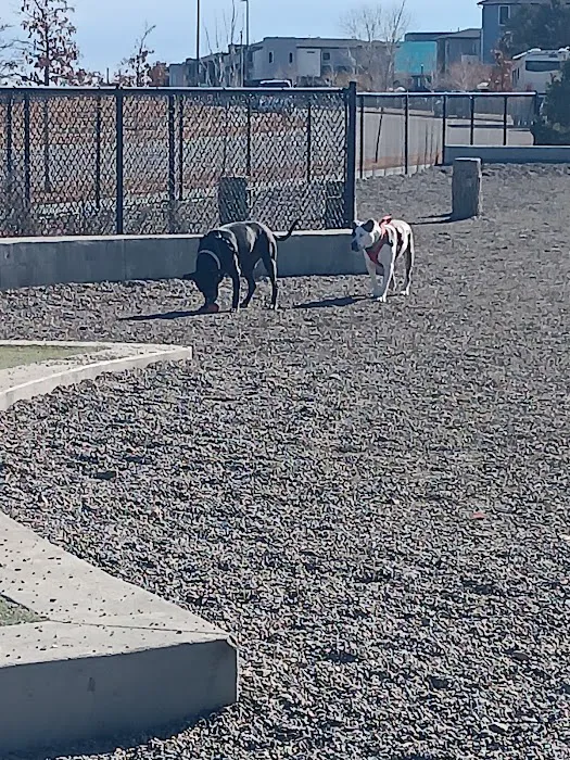 Dog Park Off-Leash Area 8