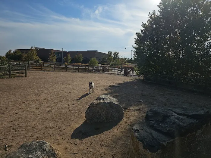 Dog Park 5