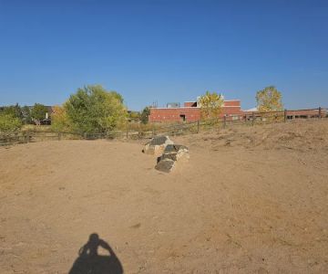 Dog Park