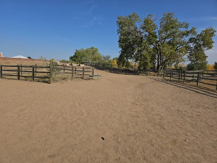 Dog Park 3
