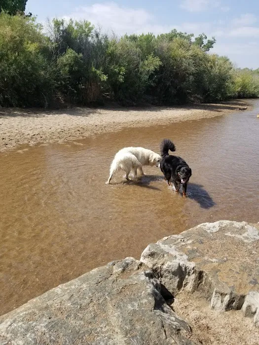 Cherry Creek Dog Park 3