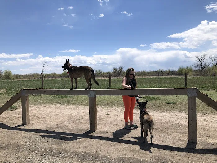 Cherry Creek Dog Park 5