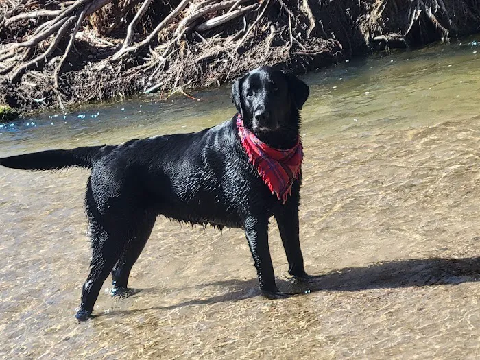 Cherry Creek Dog Park 1