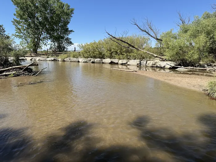 Cherry Creek Dog Park 7