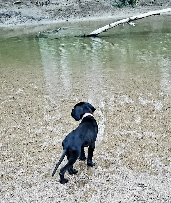 Cherry Creek Dog Park 10