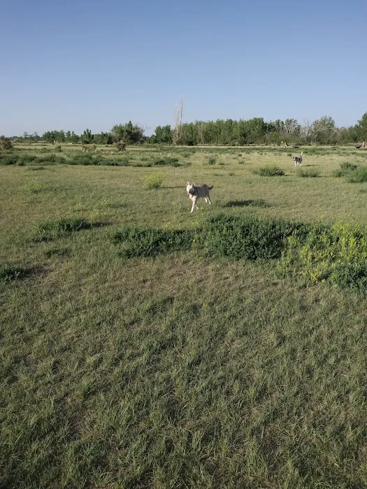 Cherry Creek Dog Park 9