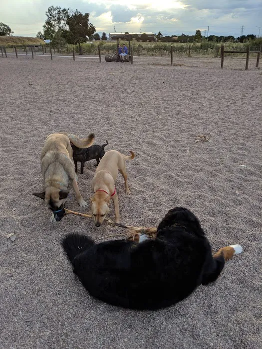 First Creek Dog Park 3