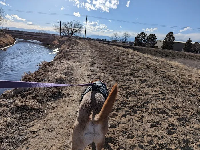 First Creek Dog Park 1