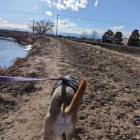 First Creek Dog Park ico