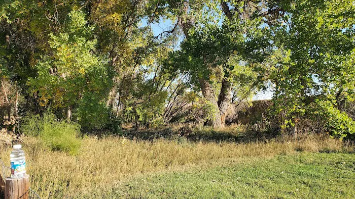 First Creek Dog Park 9